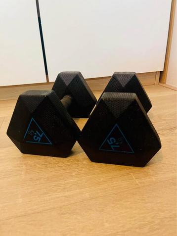 Dumbbells - 2 x 7.5 kg - Decathlon beschikbaar voor biedingen