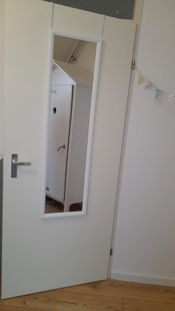 Deurspiegel, Huis en Inrichting, Woonaccessoires | Spiegels, Minder dan 50 cm, Minder dan 100 cm, Rechthoekig, Ophalen