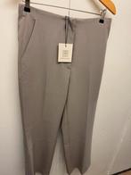 Nieuwe second female evie pants L, Kleding | Dames, Second Female, Verzenden, Nieuw, Maat 38/40 (M)
