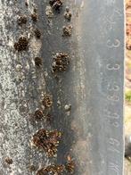 Vezelcement golfplaten NT, Doe-het-zelf en Verbouw, Platen en Panelen, Ophalen, Gebruikt, Overige materialen, Minder dan 20 mm