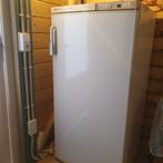 Bosch vriezer, Witgoed en Apparatuur, Vriezers en Diepvrieskisten, Ophalen of Verzenden, Gebruikt, 60 tot 90 cm, 140 tot 160 cm
