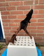 Aquariumhout kienhout XXL, Ophalen of Verzenden, Plant(en), Steen of Hout