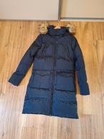 Nieuwe puffer winterjas van Petrol Industries maat 164, Ophalen of Verzenden, Nieuw, Meisje, Jas
