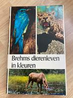 Brehms dierenleven in kleuren, Ophalen of Verzenden, Zo goed als nieuw, Overige diersoorten, Brehms
