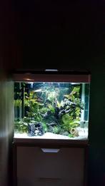 Super fish aquarium, Zo goed als nieuw, Ophalen, Leeg aquarium