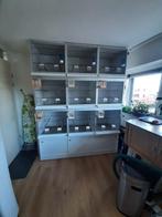 vogelbroedkooien  60x60x60 en 50x50x60 cm in twee blokken, Dieren en Toebehoren, Ophalen, Zo goed als nieuw, Overige materialen