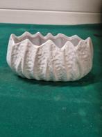 bloembakje ptmd collectie wit, Ophalen of Verzenden, 'T Olde Gre-j, Info@toldegrej.nl, Endepoelstraat 20f Didam