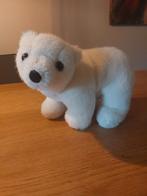 Schattige ijsbeer knuffel - 20 cm, Ophalen, Zo goed als nieuw, Beer