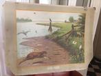 schoolplaat "Aan de rivier", Ophalen of Verzenden, Natuur en Biologie