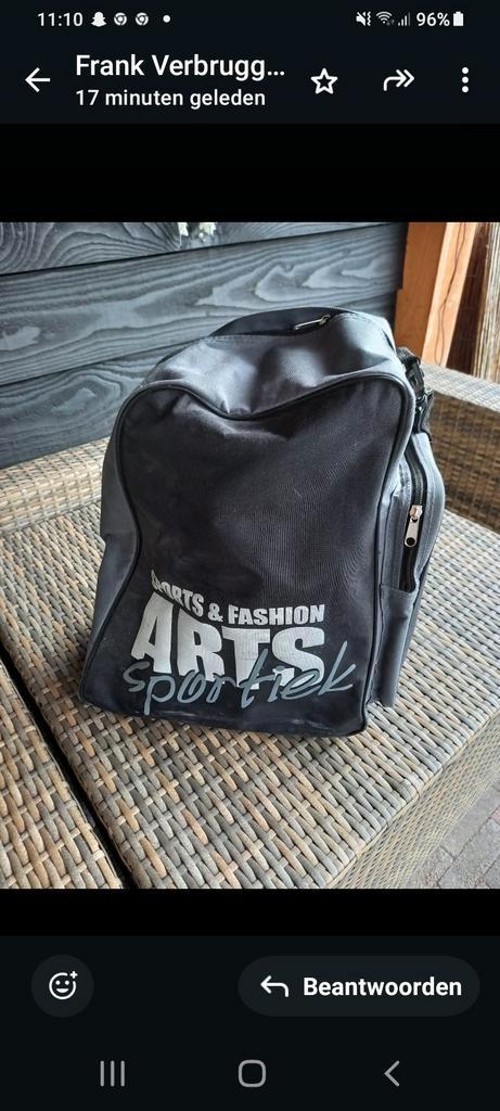 Ski's en skischoenen te koop, Sport en Fitness, Skiën en Langlaufen, Gebruikt, Ski's, Skiën, Nordica, Carve, 160 tot 180 cm, Ophalen