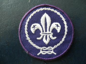 Scouting insigne - wereldinsigne - installatieteken. beschikbaar voor biedingen