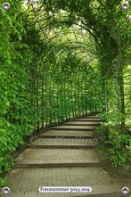 Tuinverruimer-Tuinposter - Boog met groene Haag 120x80 cm, Tuin en Terras, Nieuw, Verzenden