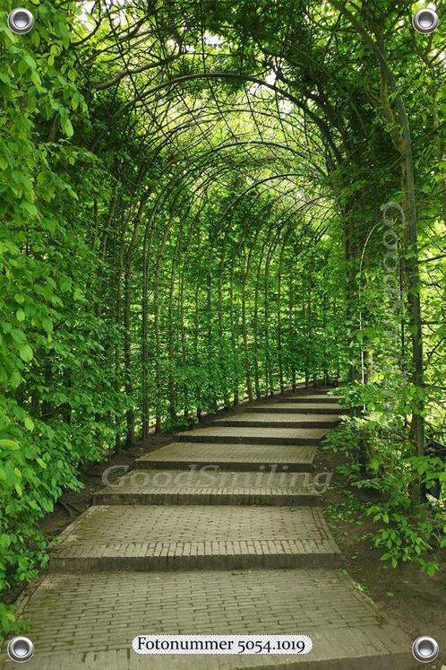 Tuinverruimer-Tuinposter - Boog met groene Haag 120x80 cm, Tuin en Terras, Tuinwanddecoratie, Nieuw, Verzenden
