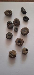 Roggenstekels uit Mill/Langenboom - Natuurlijke vondsten, Ophalen of Verzenden, Gebruikt, Overige soorten, Overige typen