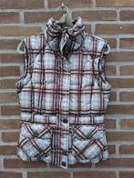 Keurige Mexx Body Warmer van Dames. Maat 34, Ophalen of Verzenden, Gedragen, Maat 34 (XS) of kleiner, Zwart