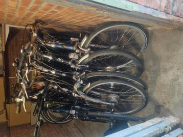 5 fietsen  beschikbaar voor biedingen