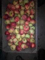 Appels voor paarden, Diversen, Ophalen