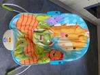 Wipstoel, Kinderen en Baby's, Wipstoeltjes, Ophalen, Fisher-Price, Gebruikt, Wipstoel
