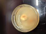 Waterkefir starter, Diversen, Ophalen