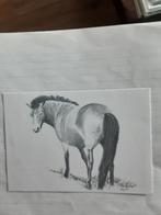 TEKENING  PAARD  BOJON, Verzamelen, Ansichtkaarten | Themakaarten, 1960 tot 1980, Ophalen of Verzenden