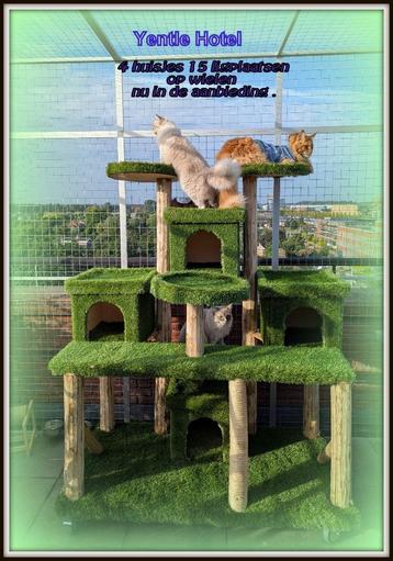 krabpaal van acatscastle natuurlijk goed  beschikbaar voor biedingen