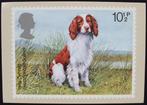 Honden op maxikaart U.K. - Welsh Springer Spaniel, Dier of Natuur, Verzenden