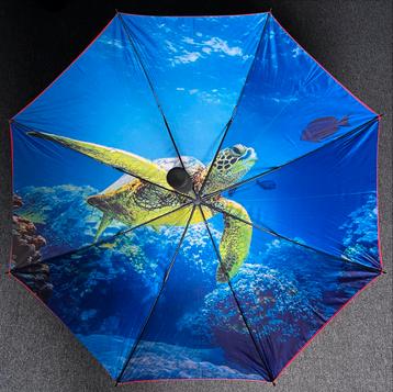 Collectorsitem! Postcode Paraplu met Schildpad Design beschikbaar voor biedingen