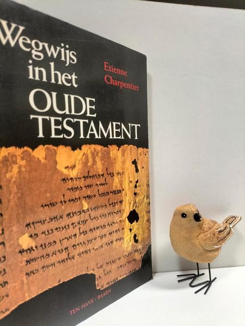 Charpentier, Etienne; Wegwijs in het Oude Testament, Boeken, Godsdienst en Theologie, Gelezen, Christendom | Protestants, Ophalen of Verzenden