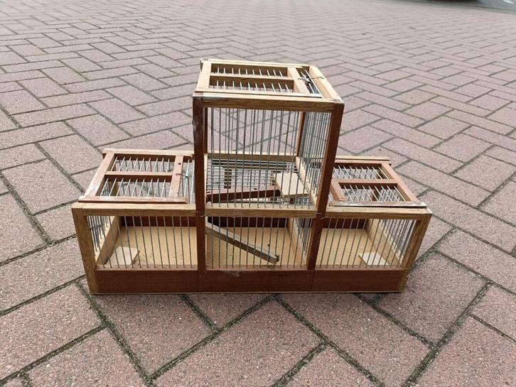 Vang kooien, Dieren en Toebehoren, Vogels | Hokken en Kooien, Nieuw, Overige typen, Hout, Ophalen of Verzenden