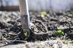 Tuinman, Vacatures, Overige vormen