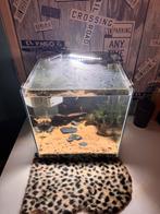 Aquarium, Dieren en Toebehoren, Ophalen, Zo goed als nieuw