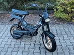 Gilera Citta 50cc Brommer, Ophalen, Gebruikt, 1 versnellingen, Gilera citta