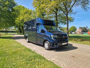 Renault Master Actie! Nieuw model STX 2025 paardenwagen met  beschikbaar voor biedingen