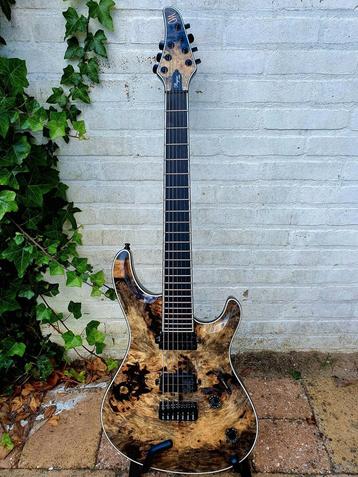 Mayones Regius Core-7 Buckeye burl beschikbaar voor biedingen