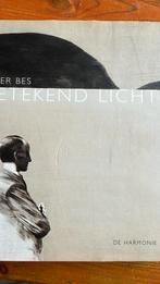 Peter Bes Getekend Licht, Ophalen of Verzenden, Zo goed als nieuw, Peter Bes, Schilder- en Tekenkunst