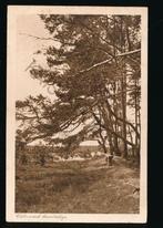 Veluws Landschap [009-3423, Verzenden, 1920 tot 1940, Gelopen, Gelderland