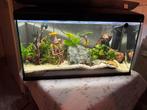 Aquarium 90 liter, Dieren en Toebehoren, Ophalen, Zo goed als nieuw, Leeg aquarium