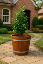 Houten deegtonnen bakkerij – ideaal decoratie/gebruik, Ophalen, Rond, Zo goed als nieuw, Tuin