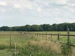 Weide weiland met schuilstal, Dieren en Toebehoren, Stalling en Weidegang