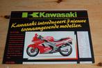 Kawasaki ZZR 1100 - ZZR 600 en EN 500, Motoren, Ophalen of Verzenden, Kawasaki