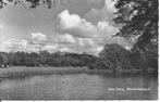 Den Haag Westbroekpark., Ophalen of Verzenden, 1940 tot 1960, Ongelopen, Zuid-Holland
