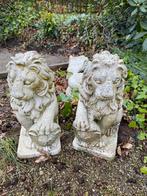 Gratis af te halen Stenen leeuwen beelden 40cm hoog, Tuin en Terras, Tuinbeelden, Ophalen of Verzenden