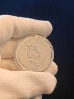 1 oz maple leaf zilveren munt 1996, Ophalen of Verzenden