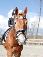 Bridle2fit hoofdstel maat full, Ophalen of Verzenden, Zo goed als nieuw, Dressuur