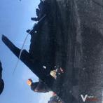 Mini Cooper 2003    Portier Linksvoor Zwart  ( zonder raamme, Auto-onderdelen, Ophalen, Gebruikt, -, Deur