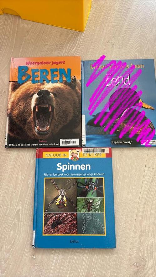 2 leerzame kinderboeken over beren en spinnen, Boeken, Dieren en Huisdieren, Gelezen, Paarden of Pony's, Ophalen of Verzenden