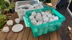 serviesgoed, Huis en Inrichting, Keuken | Servies, Ophalen, Keramiek, Zo goed als nieuw, Effen