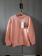 Z8 Agostino | Sweater maat 116/122 Nieuw!, Kinderen en Baby's, Kinderkleding | Maat 116, Nieuw, Ophalen of Verzenden, Jongen, Z8