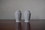 Vintage Peper en Zout Porselein, Antiek en Kunst, Ophalen of Verzenden
