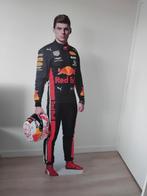 Max Verstappen Red Bull F1 Display, Verzamelen, Automerken, Motoren en Formule 1, Ophalen, Zo goed als nieuw, Formule 1